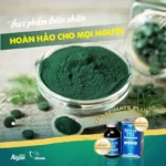 Tảo Spirulina Spimate Plus - Thực Phẩm Thiên Nhiên Hoàn Hảo Cho Mọi Người - 1Shop.com.vn