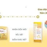 Bao Bị Mẫu Mã Mới Của Lacclean Gold Lab 2024 - 1Shop.com.vn