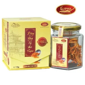 Đông trùng hạ thảo Sapa khô Elipha 10g chính hãng giá tốt - 1Shop.com.vn