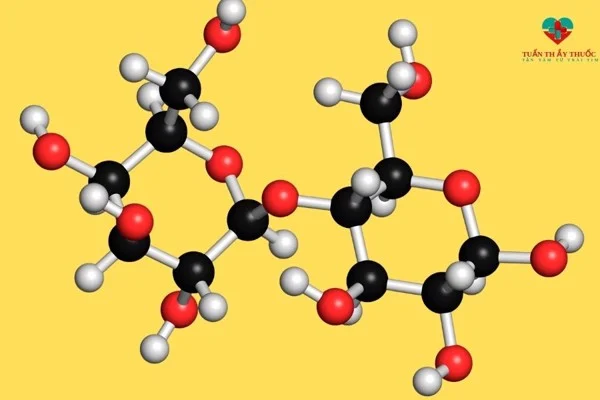 Enzym Lactase là gì - thực phẩm chức năng vip - 1shop.com.vn