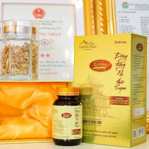 Viên Nang Đông Trùng Hạ Thảo Sapa 28 viên chính hãng giá tốt - Traphaco Sapa - 1Shop.com.vn