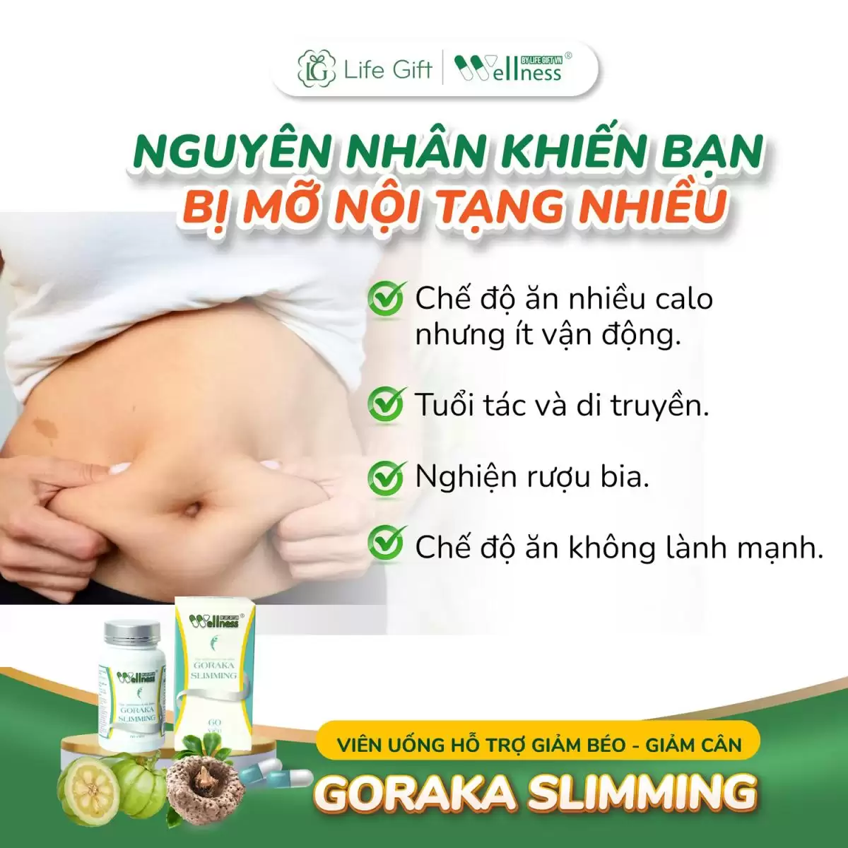 Nguyên Nhân Khiến Bạn Bị Mỡ Nội Tạng Nhiều