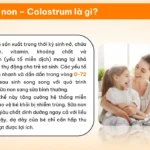 Sữa Non Colostrum Là Gì - 1Shop.com.vn