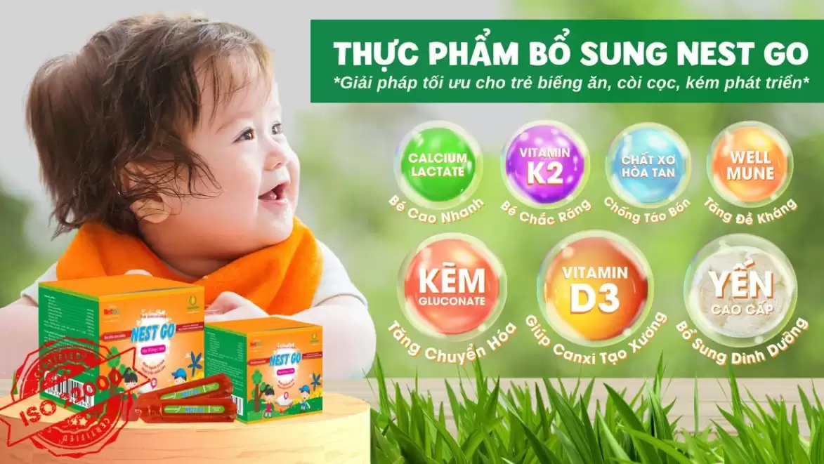 Thành Phần Nest Go Bổ Sung Dinh Dưỡng Cho Trẻ Còi Cọc, Biếng ăn