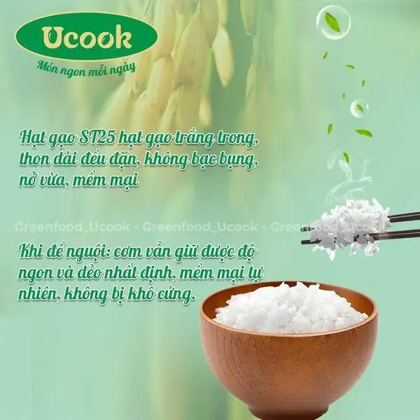 Hạt Gạo Lúa Vịt St25 Thuận Thiên 5kg - 1shop.com.vn
