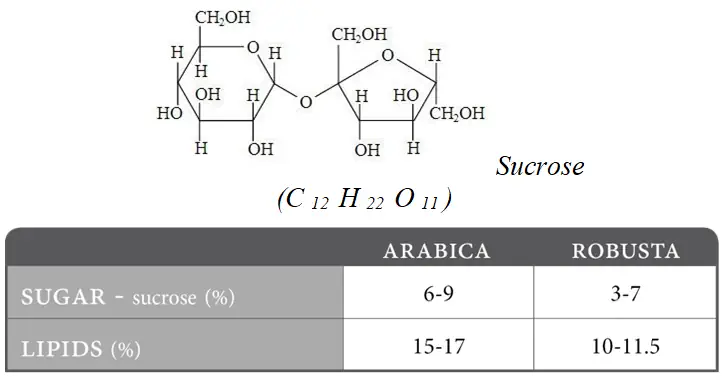 Hàm Lượng đường Và Lipid Trong Arabica Và Robusta - 1shop.com.vn