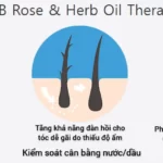 Liệu Pháp Tinh Dầu Hoa Hồng Và Thảo Mộc Trong Xịt Dưỡng Tóc Luub Q10 - 1Shop.com.vn