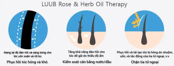 Liệu Pháp Tinh Dầu Hoa Hồng Và Thảo Mộc Trong Xịt Dưỡng Tóc Luub Q10 - 1Shop.com.vn