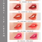 Bảng Màu Son Kem Khoáng C’choi - Mineral Lip Cream - Punar - 1Shop.com.vn