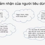 Cảm Nhận Của Khách Hàng Khi Dùng Smoothie Bonne - Sinh Tố Dinh Dưỡng Chuối Xoài Cam - 1Shop.com.vn