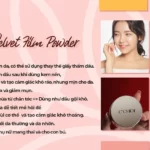 Công Dụng Phấn Phủ Kiềm Dầu C'choi Velvet Film Powder Foundation - Punar - 1Shop.com.vn