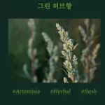 Kem Xả Tóc Beyond Healing Force Scalp Clinic Treatment Thuần Chay - 1Shop.com.vn