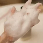 Tạo Bọt Sữa Tắm Dưỡng ẩm Beyond Deep Moisture Creamy Body Wash - Lg Vina - 1Shop.com.vn