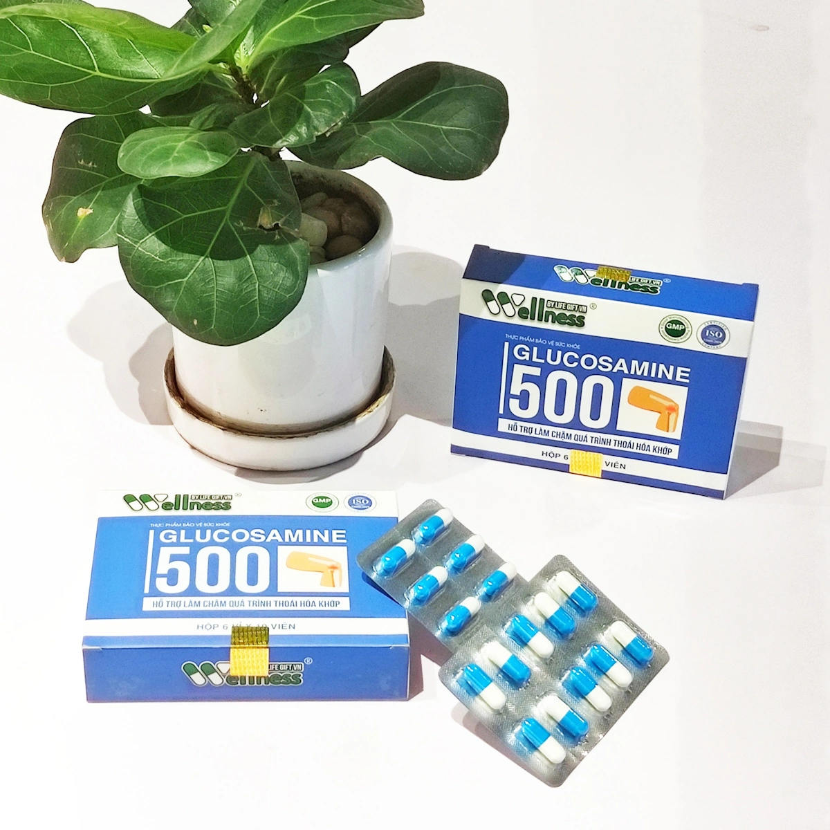 Glucosamine 500 - Hỗ Trợ Khớp - Wellness By Life Gift Vn - 1shop.com.vn