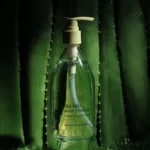 Shirley Curly Tea Tree Aloe Vera Gel 300ml - Trà Xanh Tràm Trà - 1Shop.com.vn