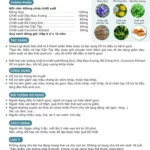 Thông Tin Thực Phẩm Hỗ Trợ Gout Urica Ligi - 1Shop.com.vn