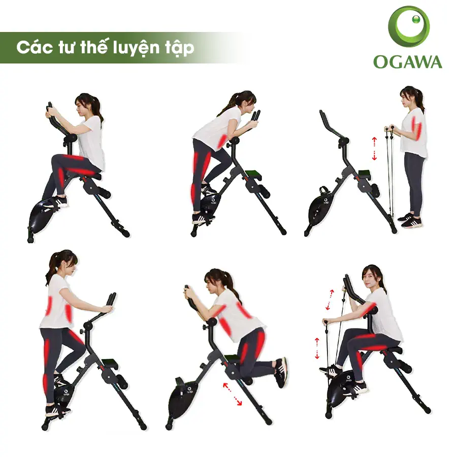 Các Tư Thế Tập Luyện Với Xe Đạp Thể Dục đa Năng Ogawa (ac-3210) - Droppii Mall