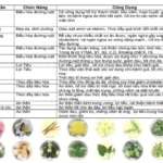 Công Dụng Các Thành Phần Thảo Mộc