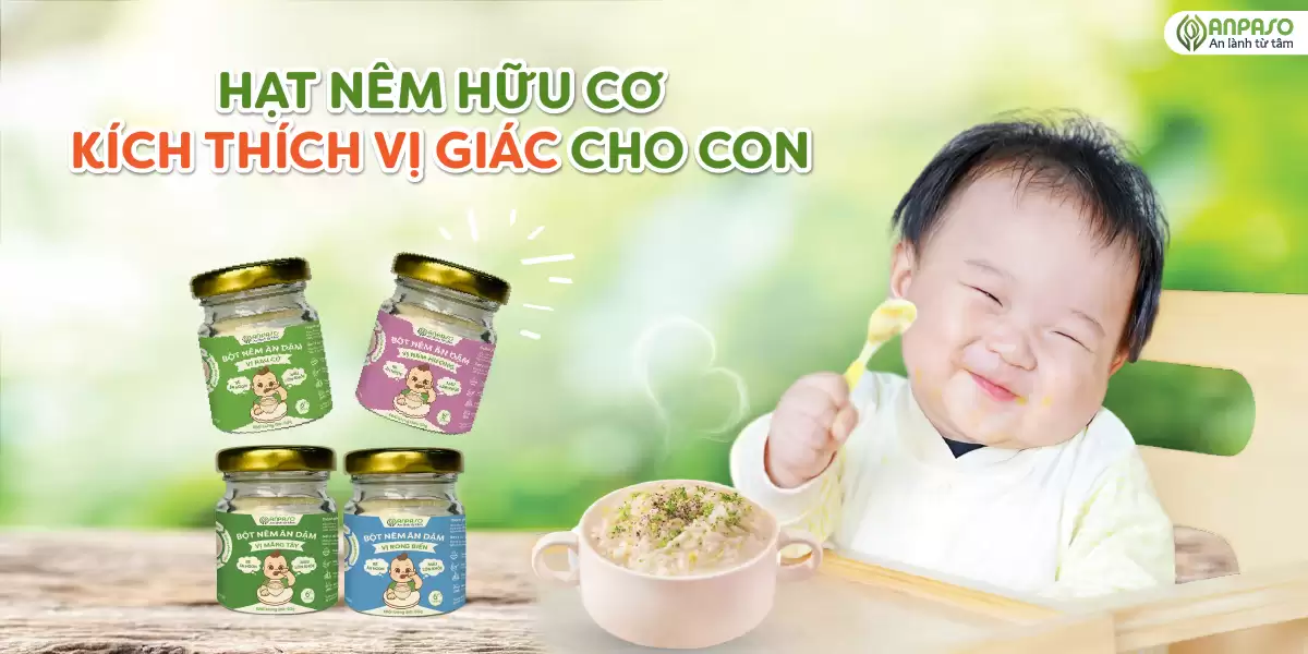 Hạt Nêm ăn Dặm Hữu Cơ Cho Trẻ Anpaso - Droppii Mall
