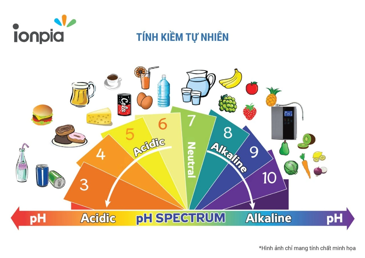 Tính Kiềm Tự Nhiên Trong Thức ăn